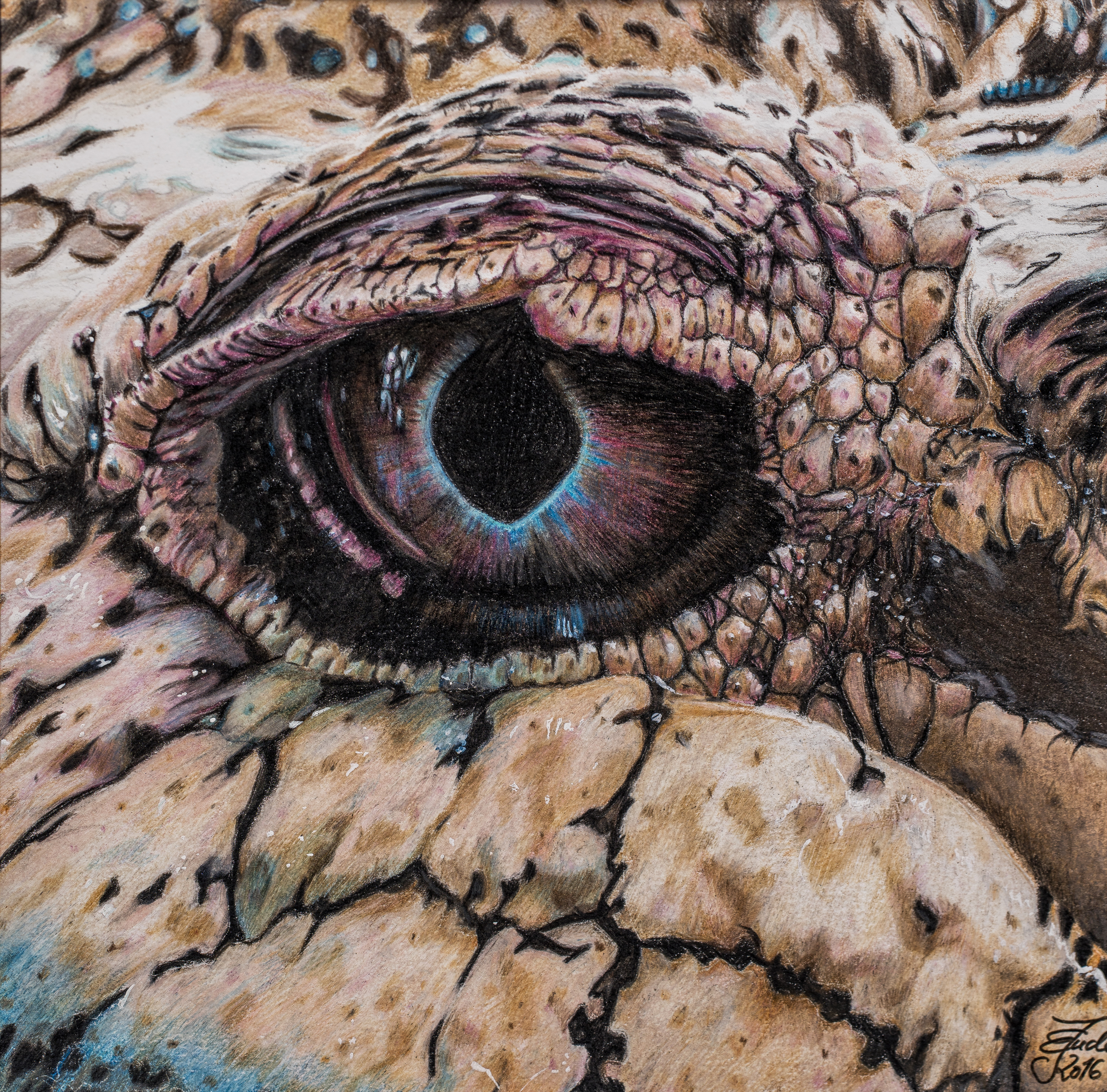 Farbstiftzeichnung eines Reptilienauges in Nahaufnahme, umgeben von schuppiger, rissiger Haut in Braun- und Beigetönen