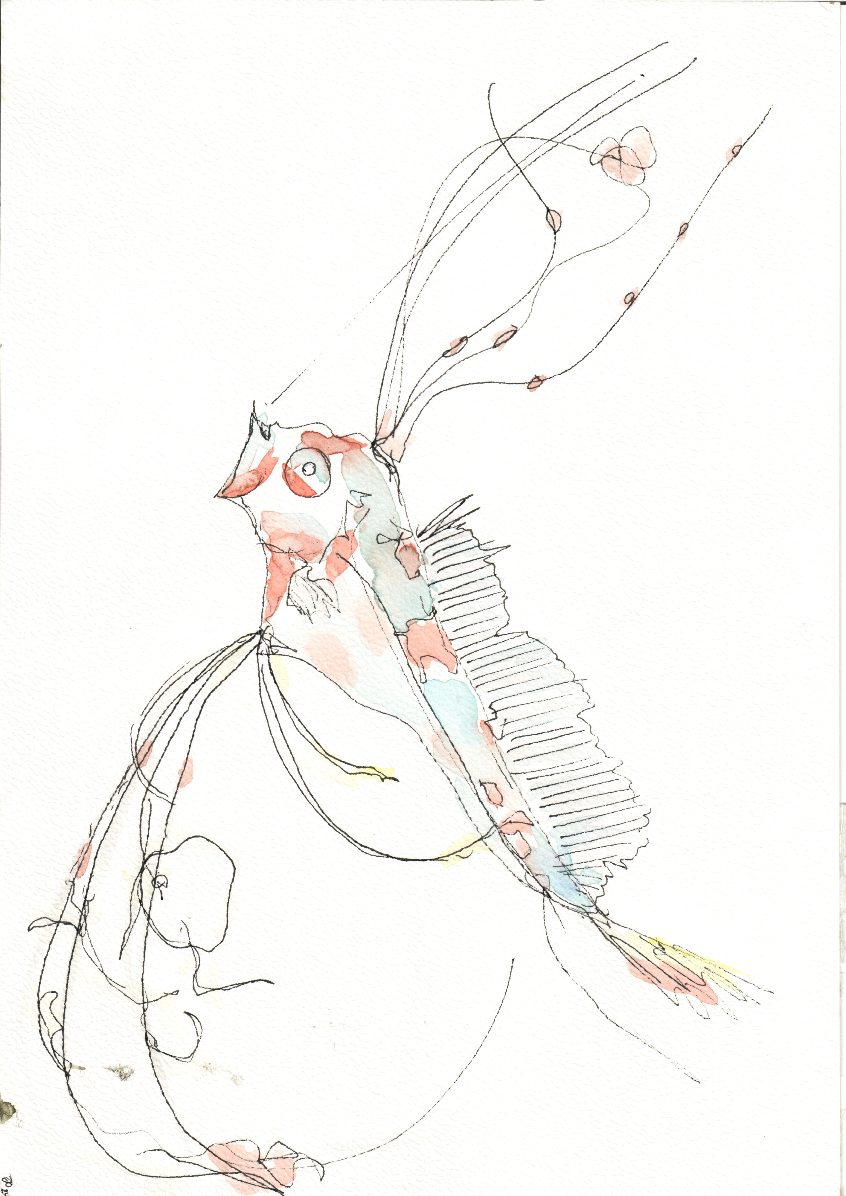 Tusche- und Aquarellzeichnung eines fantastischen fliegenden Fischwesens mit langen geschwungenen Fühlern, Flossenkamm und rötlichen Farbtupfern.