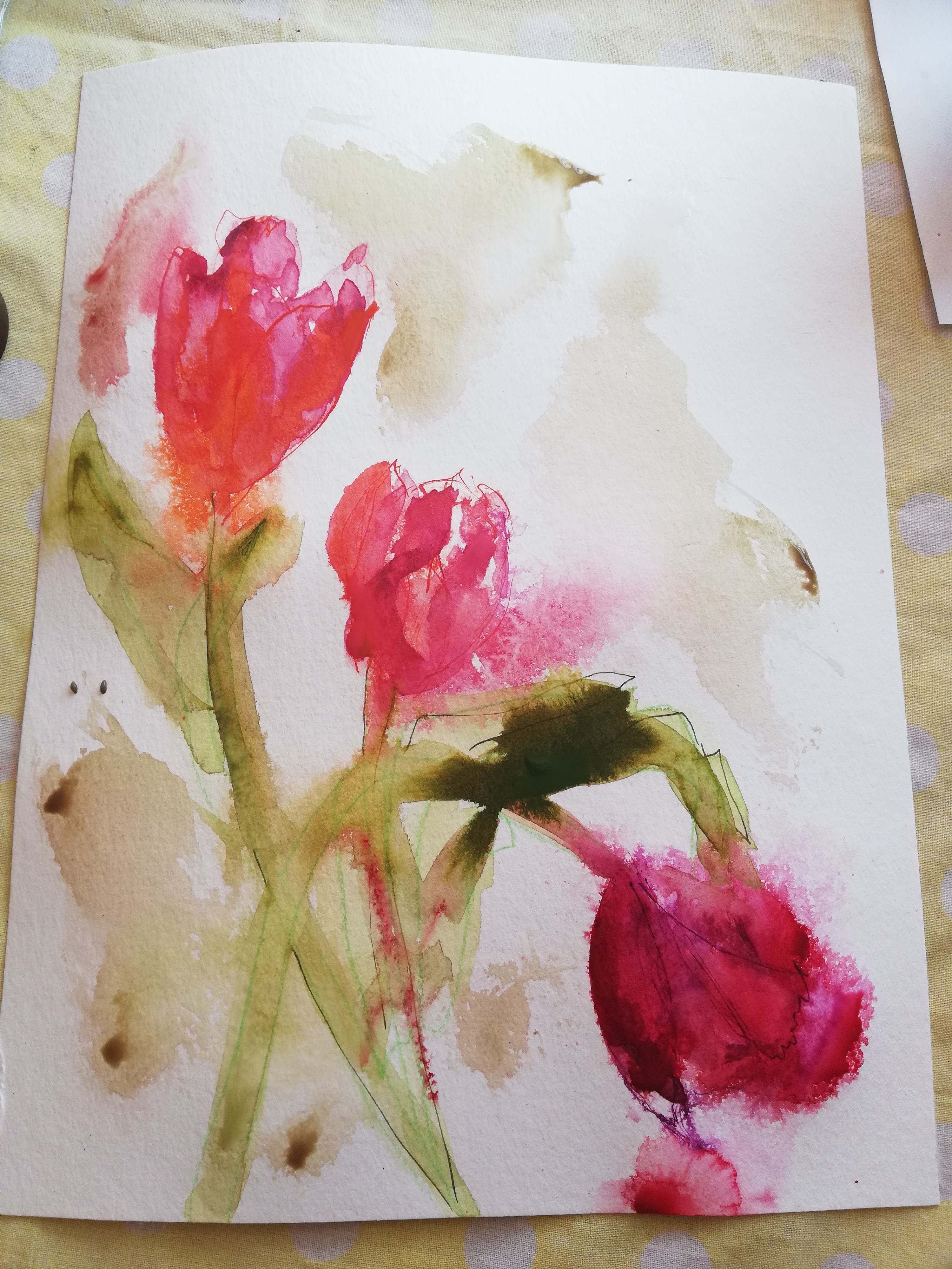 Tulpen