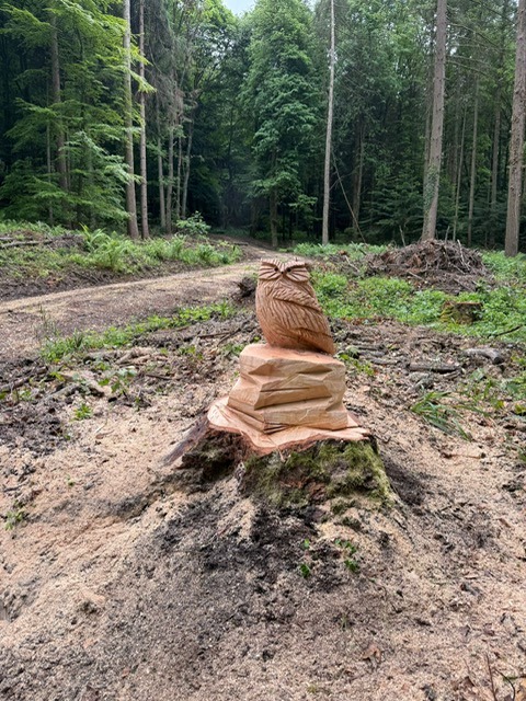 Aus einem Baumstumpf geschnitzte Eulenfigur mitten im Wald