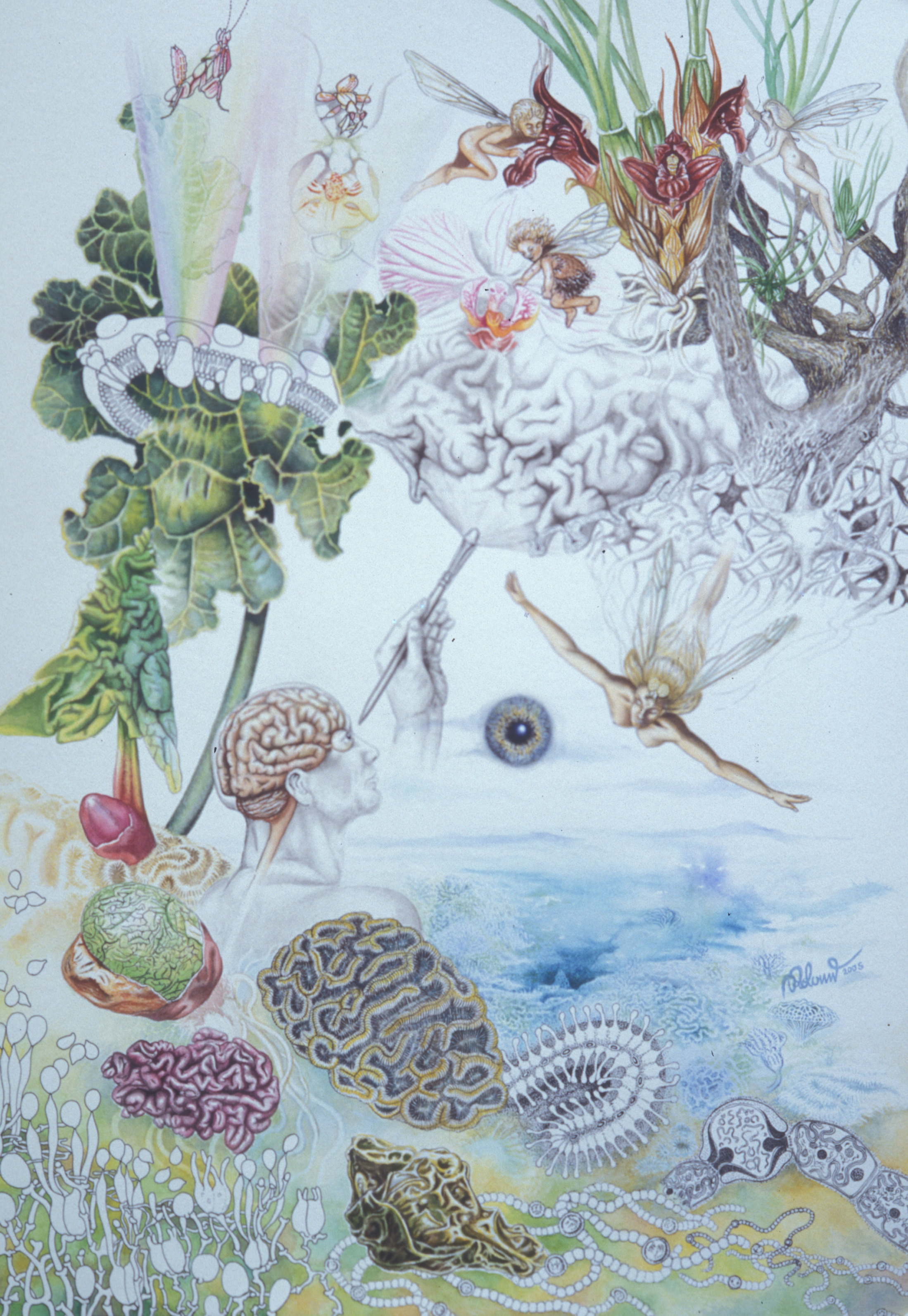 Surreales Aquarell mit einem Gehirn im Profil eines Menschen, umgeben von winzigen geflügelten Feen zwischen Blüten und Pflanzen, darunter Korallen und ein blaues Gewässer