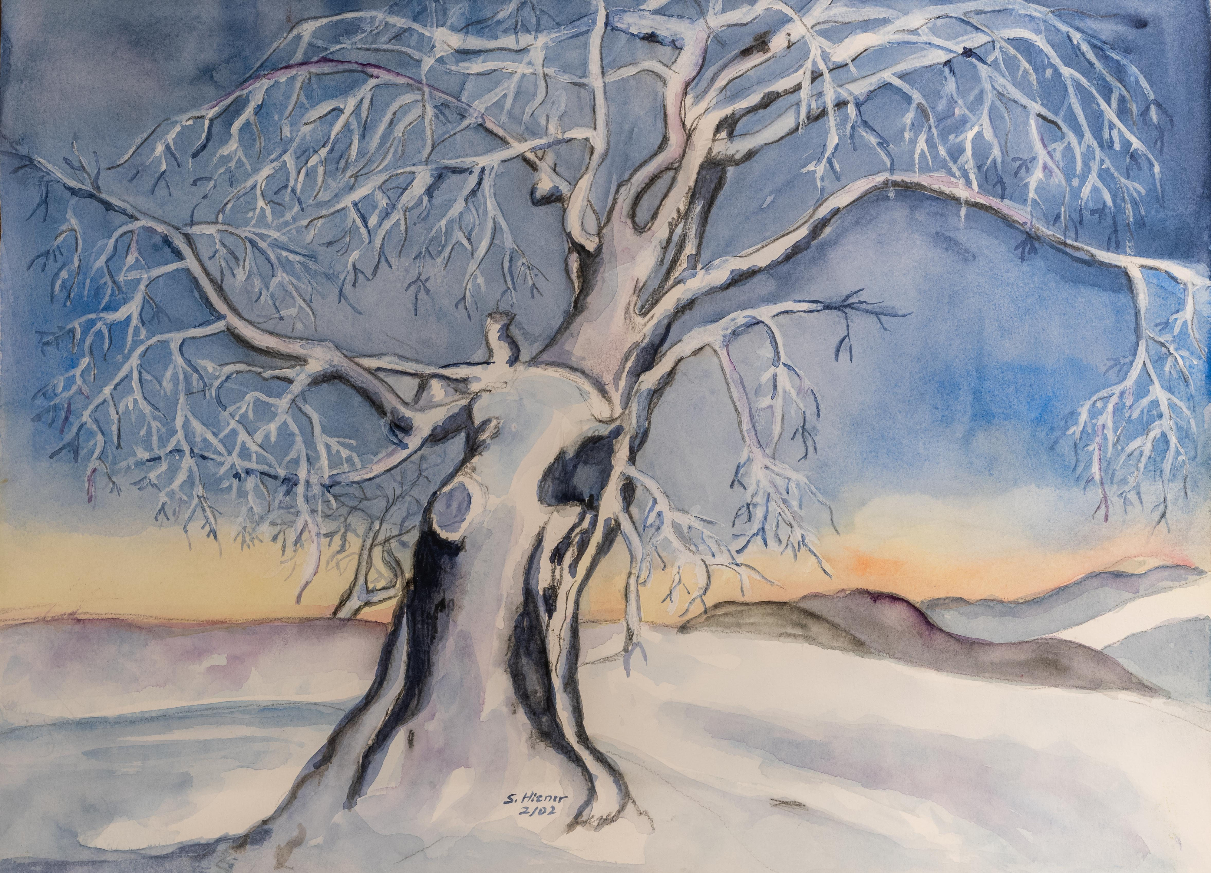 Kahler Baum in verschneiter Winterlandschaft