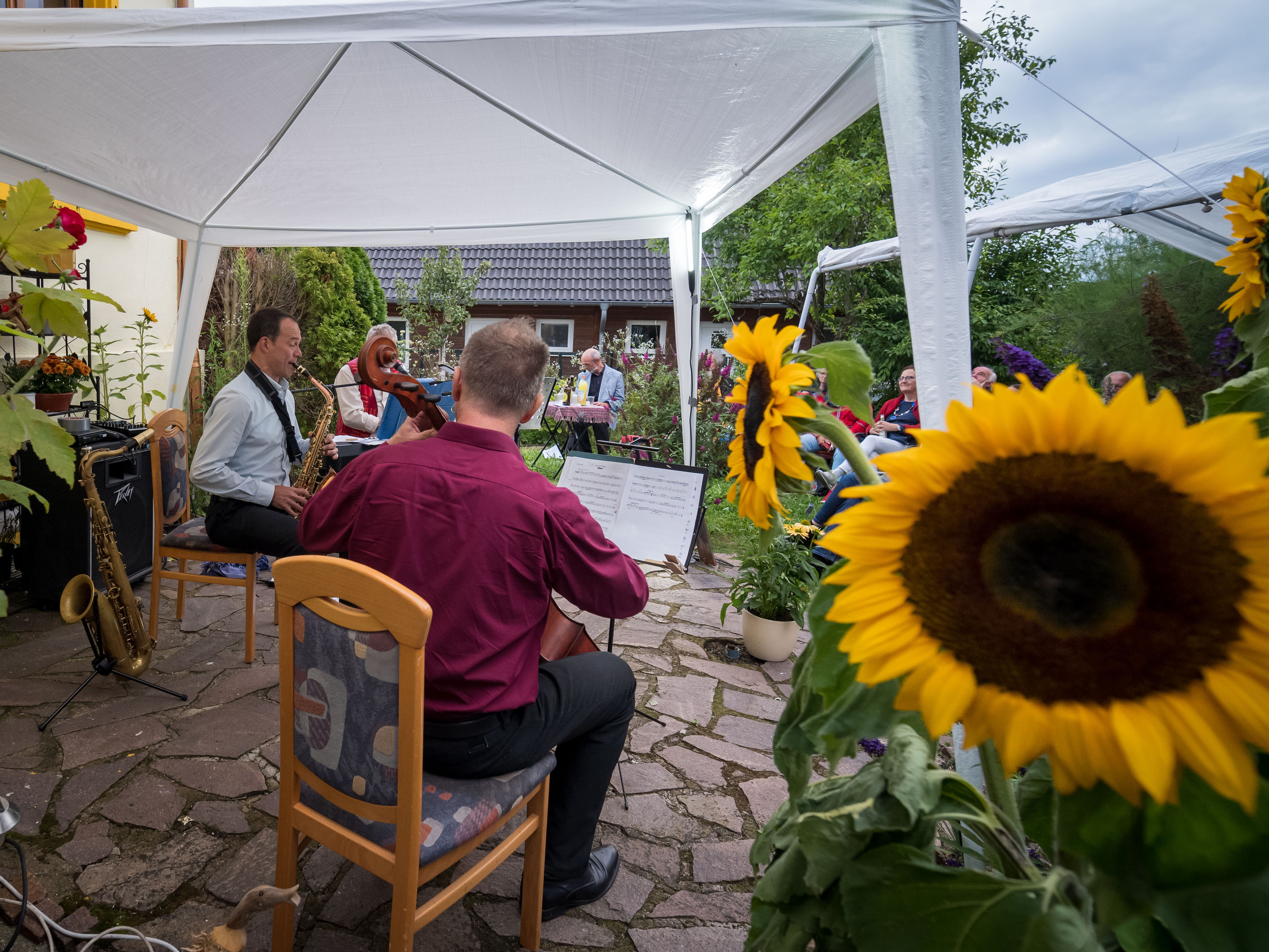 Musiker spielen unter einem Pavillon im Garten, im Vordergrund eine Sonnenblume