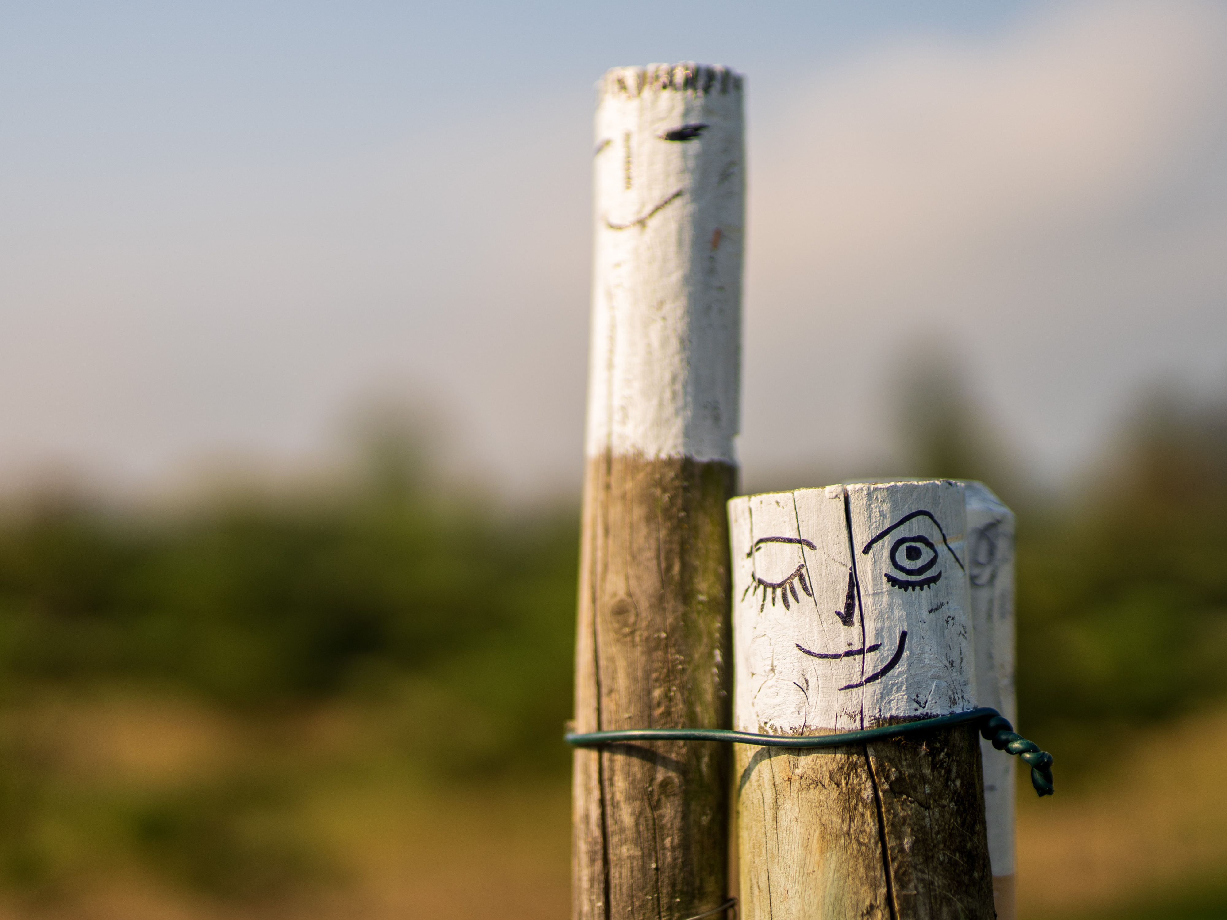 Zwei Holzpfosten mit gemalten Gesichtern, im Hintergrund eine Streuobstwiese