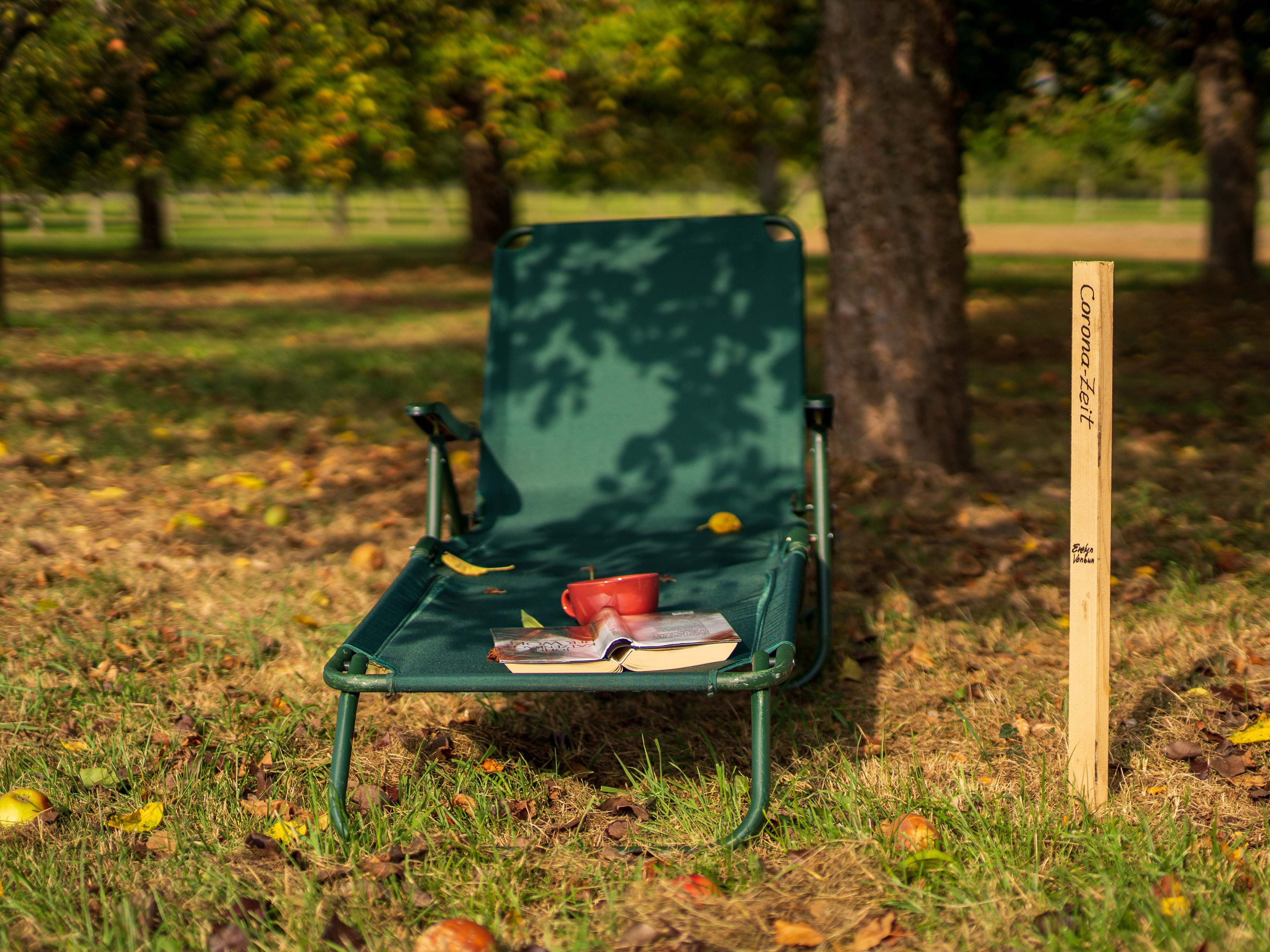 Grüner Campingstuhl unter einem Baum neben einem schlichten Holzpfosten, mit heruntergefallenem Obst auf dem Boden
