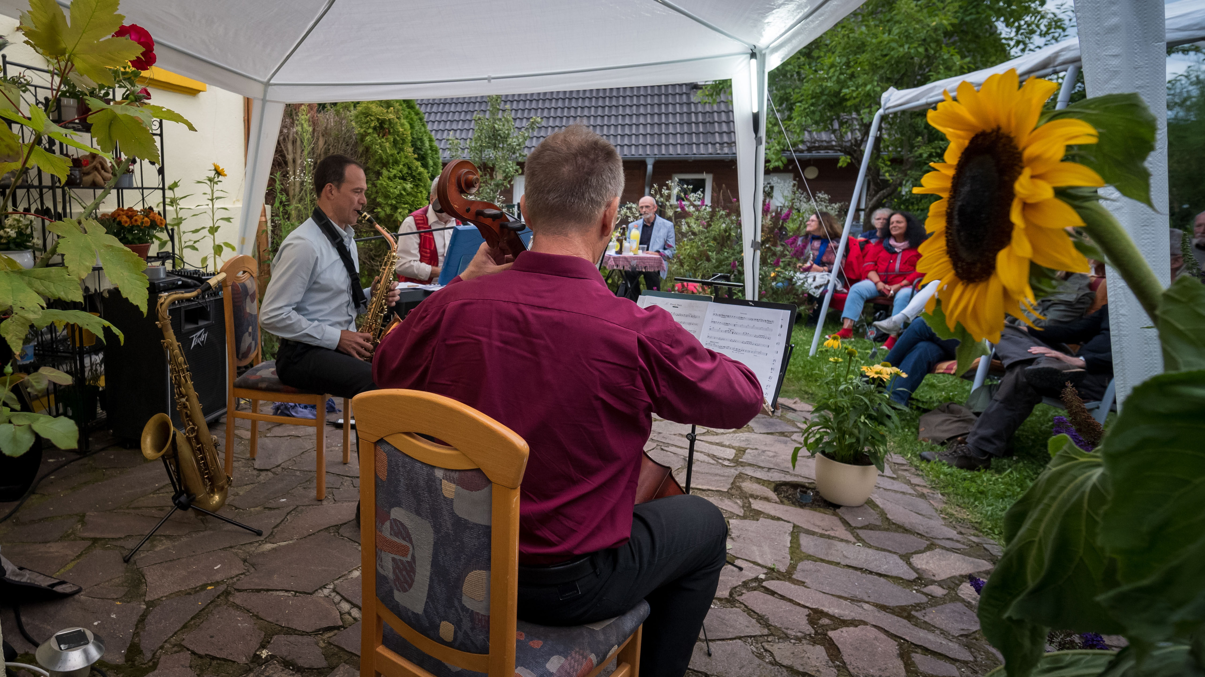 Musiker unter einem Pavillonzelt neben einer Sonnenblume, im Hintergrund sitzendes Publikum