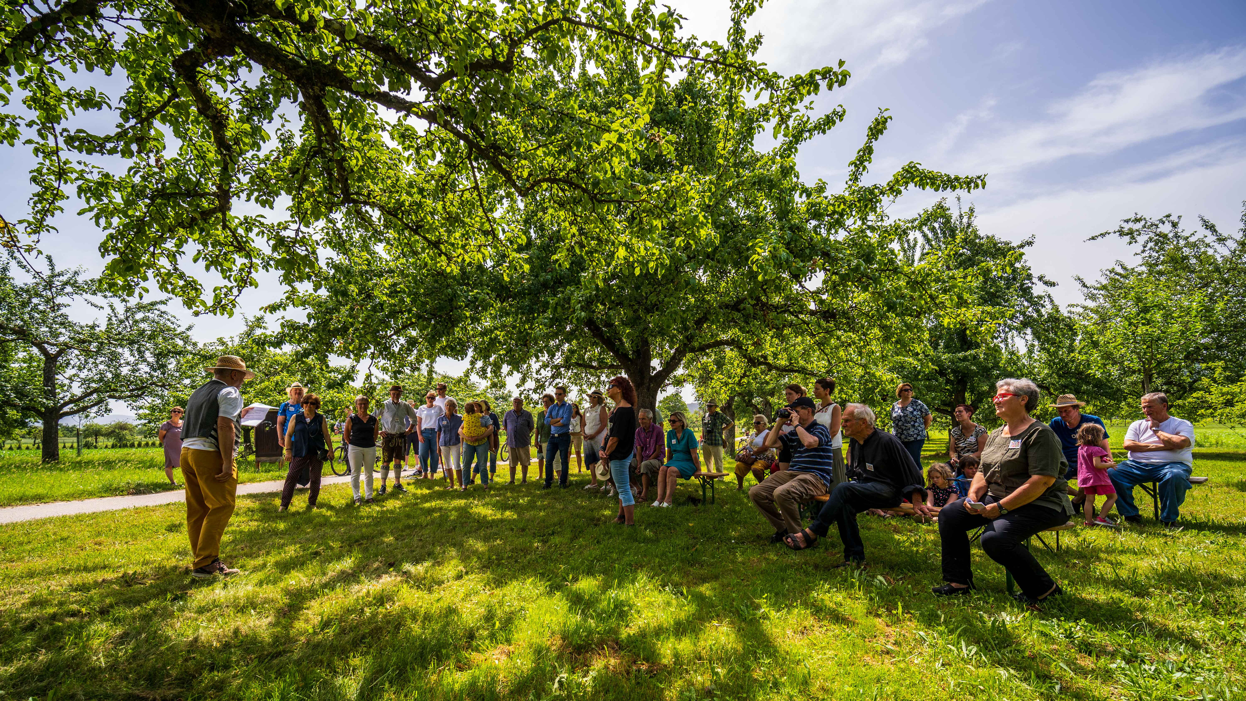 Besucher:innen sitzen und stehen unter einem Apfelbaum in einer Streuobstwiese