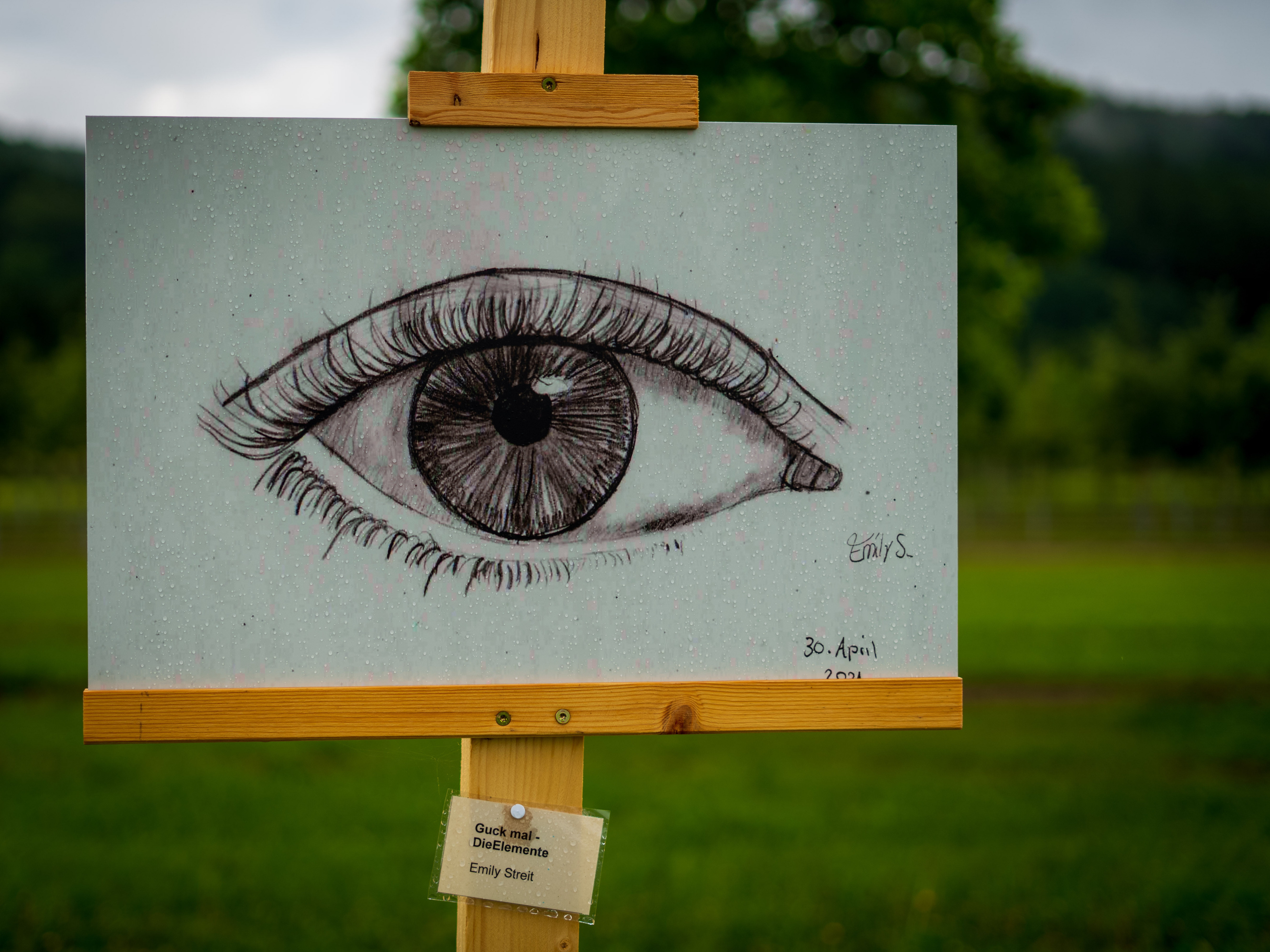 Zeichnung eines Auges mit Wimpern auf Papier, auf einer Staffelei in der Wiese